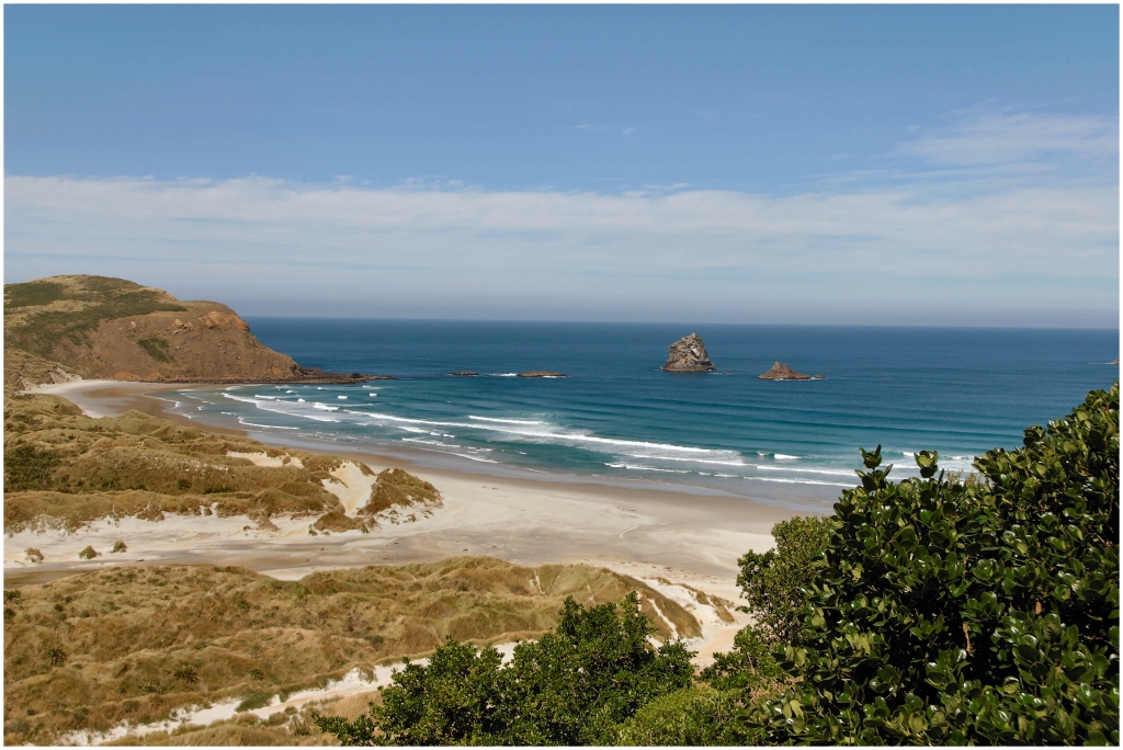 04 - Presqu'ile d'Otago (16).jpg